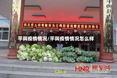 平舆疫情情况/平舆疫情情况怎么样