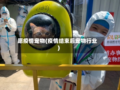 愿疫情宠物(疫情结束后宠物行业)