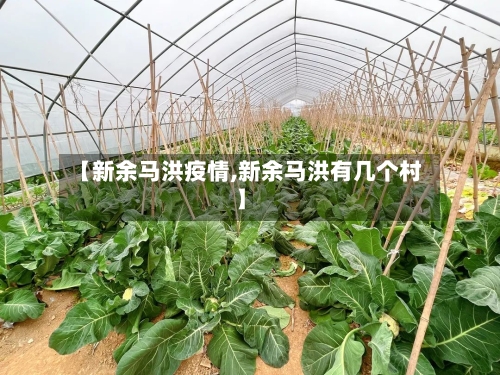 【新余马洪疫情,新余马洪有几个村】