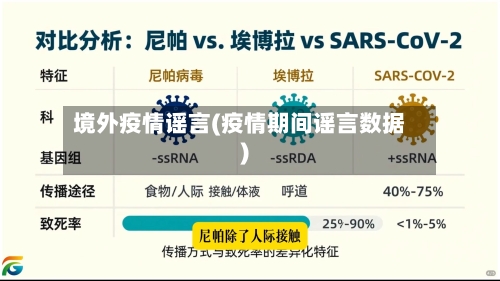 境外疫情谣言(疫情期间谣言数据)-第2张图片
