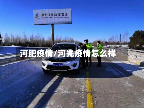 河肥疫情/河兆疫情怎么样