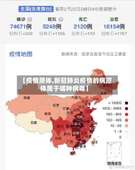 【疫情原体,新冠肺炎疫情的病原体属于哪种病毒】