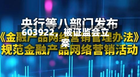 603922，被证监会立案-第2张图片