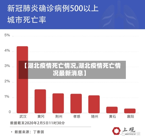 【湖北疫情死亡情况,湖北疫情死亡情况最新消息】-第2张图片