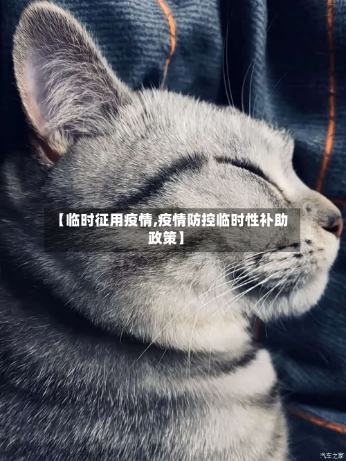 【临时征用疫情,疫情防控临时性补助政策】-第2张图片
