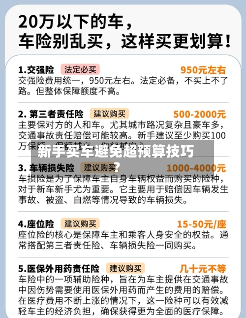 新手买车避免超预算技巧？-第3张图片