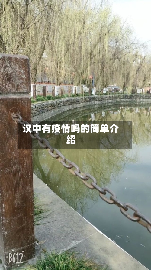 汉中有疫情吗的简单介绍