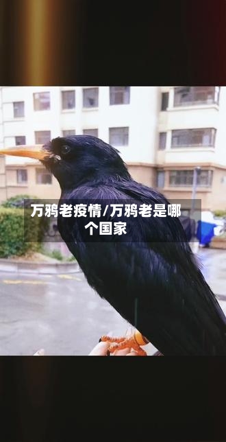 万鸦老疫情/万鸦老是哪个国家-第2张图片