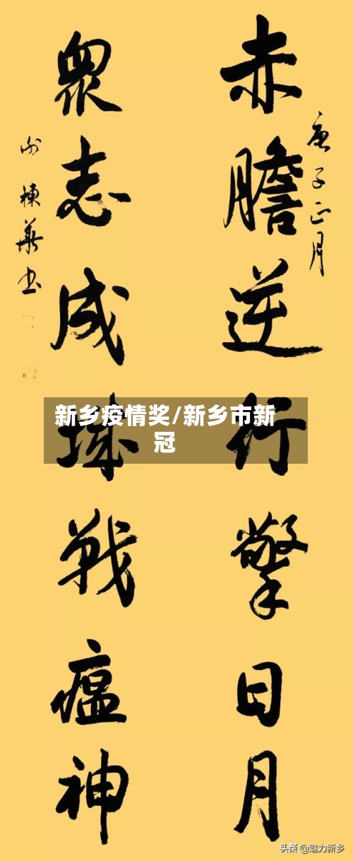 新乡疫情奖/新乡市新冠