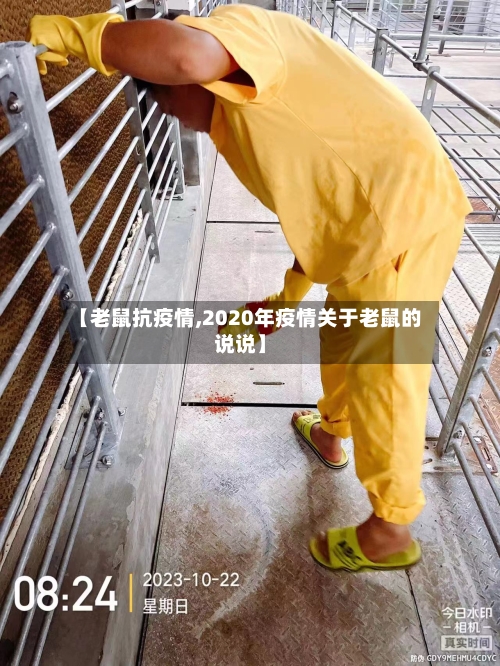 【老鼠抗疫情,2020年疫情关于老鼠的说说】