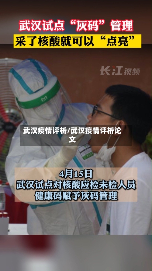 武汉疫情评析/武汉疫情评析论文-第3张图片