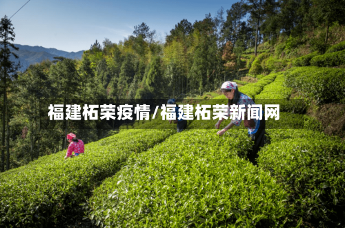 福建柘荣疫情/福建柘荣新闻网-第3张图片