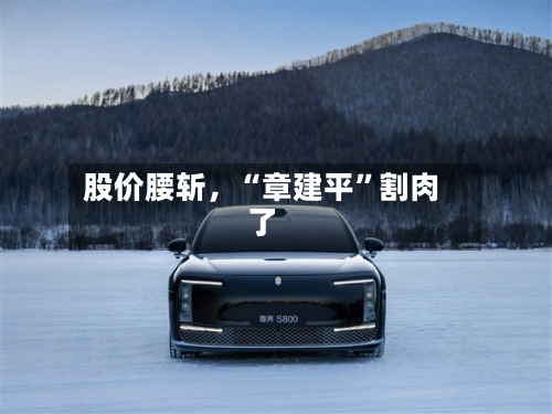 股价腰斩	，“章建平	”割肉了-第2张图片