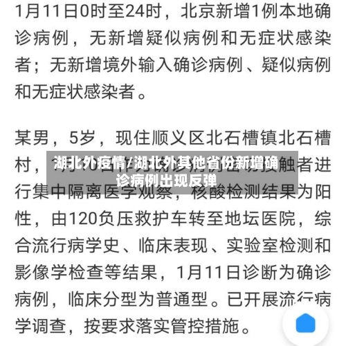 湖北外疫情/湖北外其他省份新增确诊病例出现反弹-第2张图片