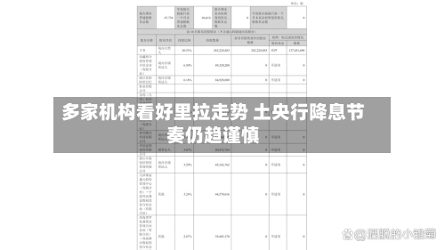 多家机构看好里拉走势 土央行降息节奏仍趋谨慎-第2张图片
