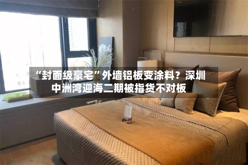 “封面级豪宅	”外墙铝板变涂料？深圳中洲湾迎海二期被指货不对板-第2张图片