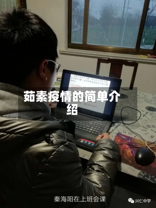茹素疫情的简单介绍