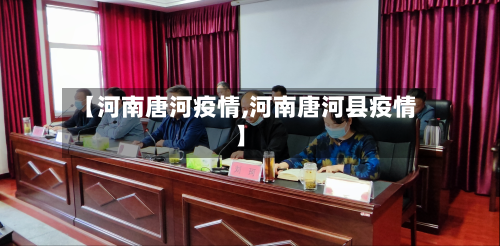 【河南唐河疫情,河南唐河县疫情】-第2张图片