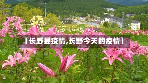 【长野县疫情,长野今天的疫情】