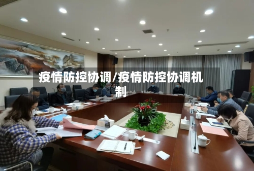 疫情防控协调/疫情防控协调机制