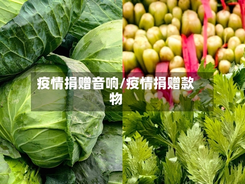疫情捐赠音响/疫情捐赠款物