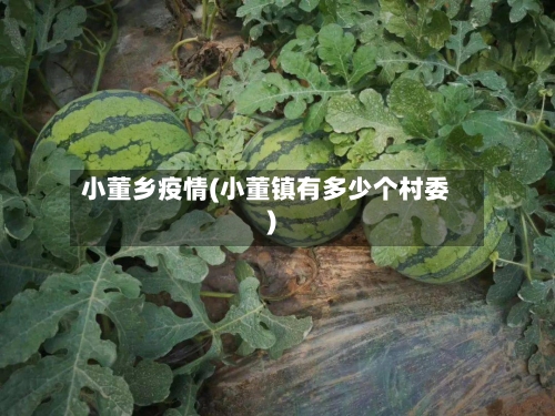 小董乡疫情(小董镇有多少个村委)