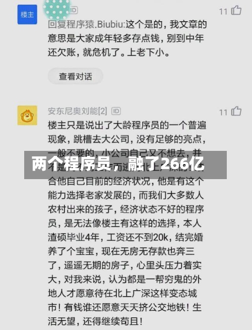 两个程序员，融了266亿