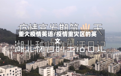 重大疫情英语/疫情重灾区的英文