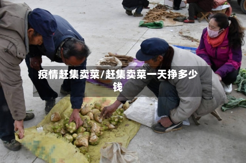 疫情赶集卖菜/赶集卖菜一天挣多少钱