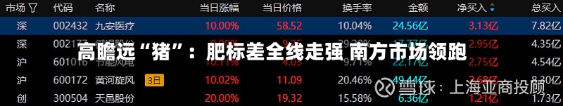 高瞻远“猪”：肥标差全线走强 南方市场领跑-第3张图片