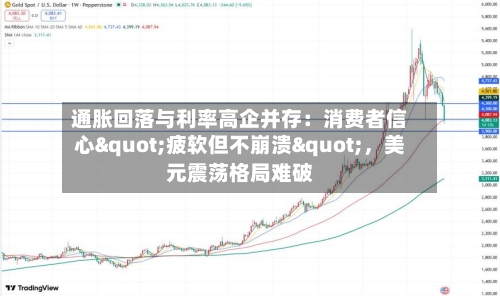 通胀回落与利率高企并存：消费者信心"疲软但不崩溃"，美元震荡格局难破-第3张图片