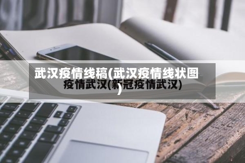 武汉疫情线稿(武汉疫情线状图)