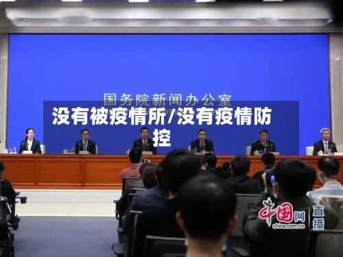 没有被疫情所/没有疫情防控-第2张图片