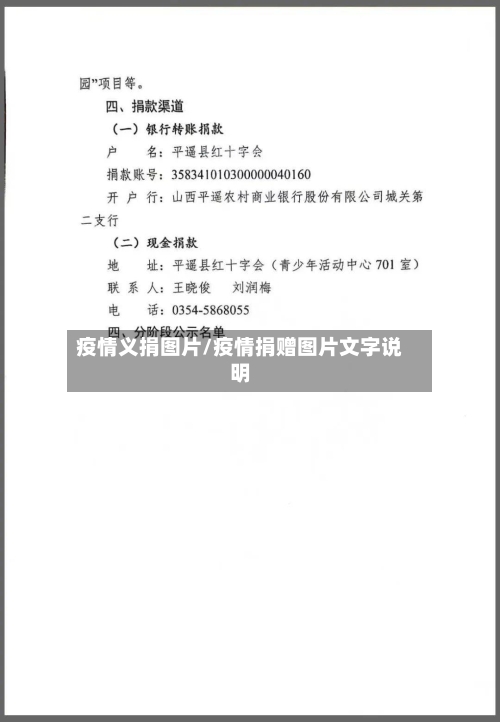 疫情义捐图片/疫情捐赠图片文字说明
