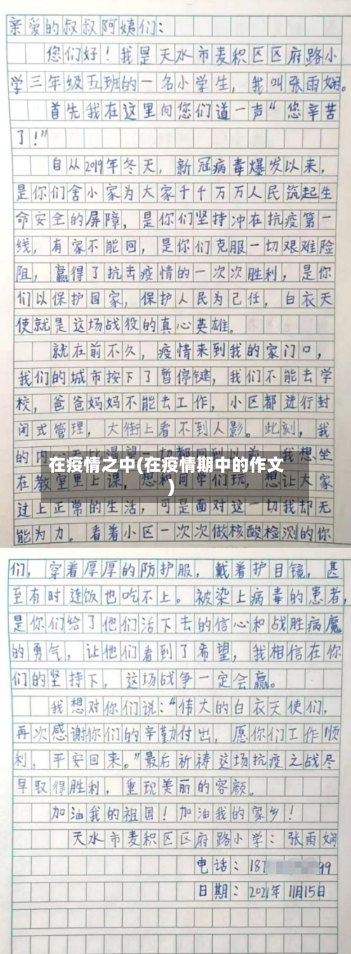 在疫情之中(在疫情期中的作文)-第2张图片
