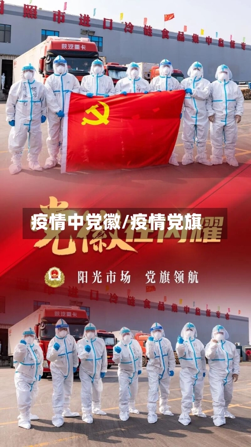 疫情中党徽/疫情党旗-第2张图片