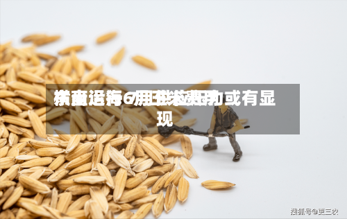 东南沿海6月玉米费用
横盘运行 7月供应压力或有显现-第3张图片