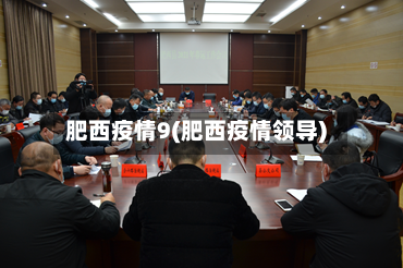 肥西疫情9(肥西疫情领导)