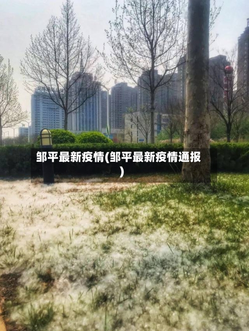 邹平最新疫情(邹平最新疫情通报)