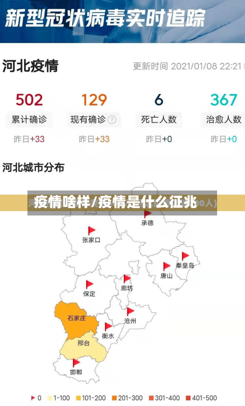 疫情啥样/疫情是什么征兆