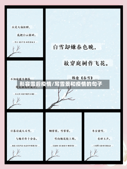 形容雪后疫情/写雪景和疫情的句子-第2张图片