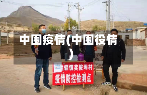 中围疫情(中围役情)-第3张图片