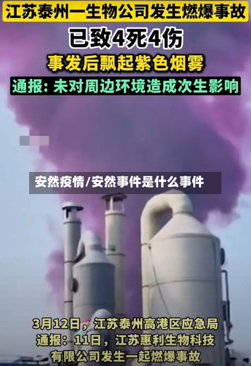 安然疫情/安然事件是什么事件
