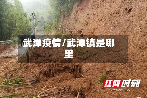 武潭疫情/武潭镇是哪里