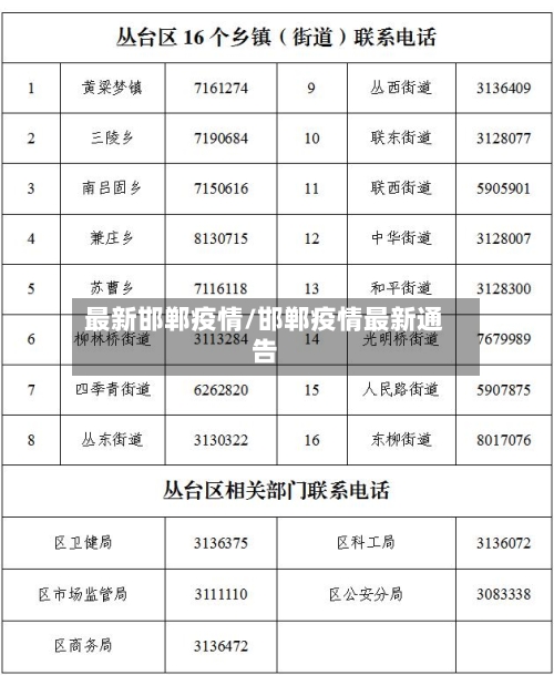 最新邯郸疫情/邯郸疫情最新通告-第2张图片