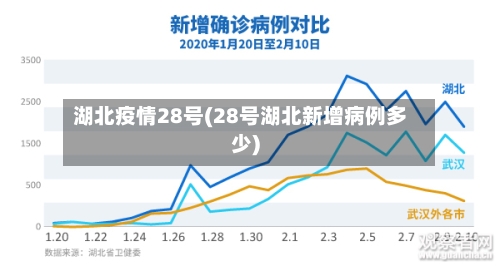 湖北疫情28号(28号湖北新增病例多少)-第3张图片