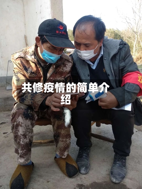 共修疫情的简单介绍