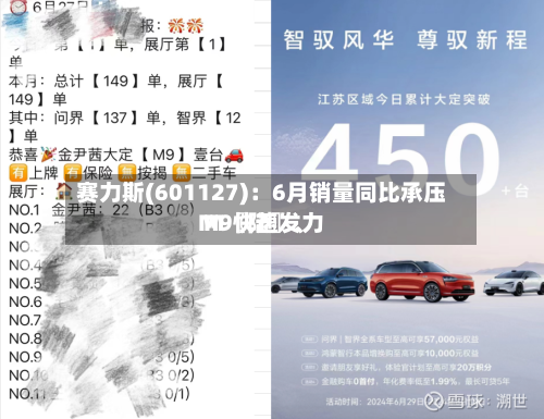 赛力斯(601127)：6月销量同比承压 M〖陆〗、M9快速发力-第3张图片