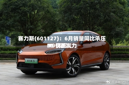 赛力斯(601127)：6月销量同比承压 M〖陆〗、M9快速发力-第3张图片