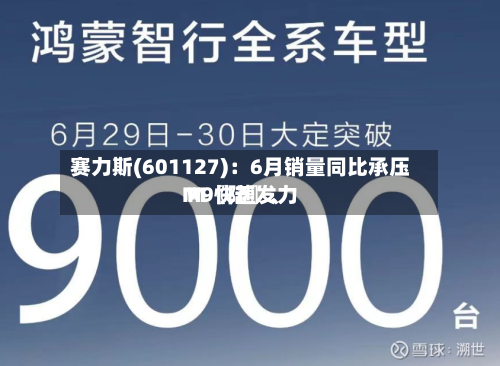 赛力斯(601127)：6月销量同比承压 M〖陆〗、M9快速发力-第3张图片